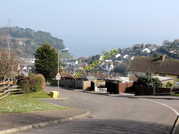 Photo 6"x4" Looking down on Beer from Mare Lane Seaton\/SY2490 c2011