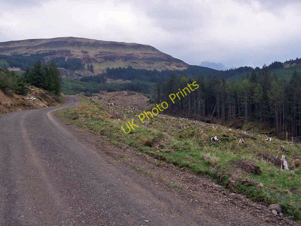 Photo 6"x4" Glen Brittle forest road Eynort c2011