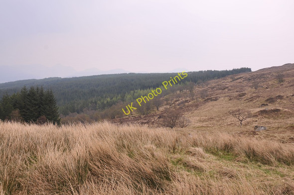 Photo 6"x4" Edge of the moorland near Liddesdale Doire nan Gad c2011