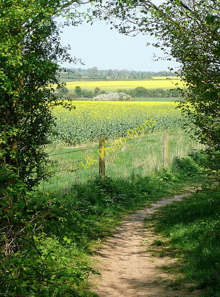 Photo 6"x4" Leaving Worting Wood Wootton St Lawrence c2011