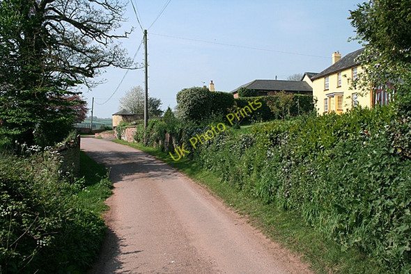 Photo 6"x4" Cullompton: by Colebrooke Court Colebrook c2011