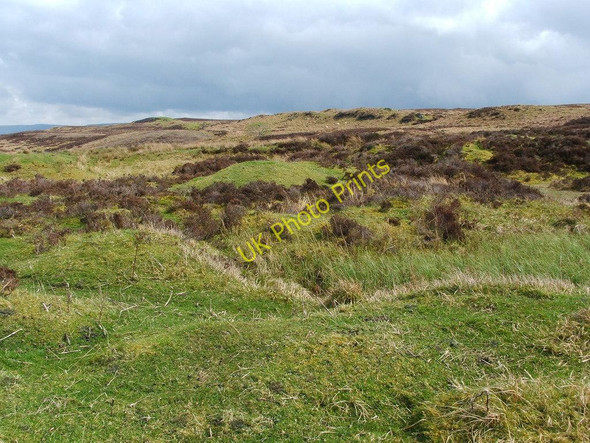 Photo 6"x4" Traces of limestone quarrying Bonhill c2011