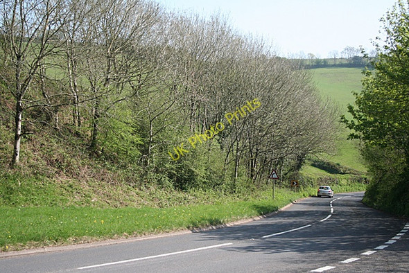 Photo 6"x4" Wiveliscombe Without: New Road above Waterrow Waterrow c2011