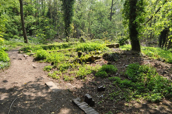 Photo 6"x4" Moseley Bog Nature Reserve Sparkhill c2011 P2