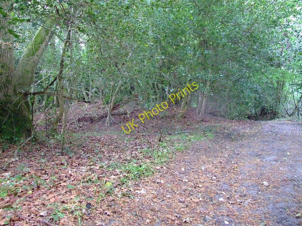 Photo 6"x4" Tumulus, Tincleton Woods Athelhampton c2010