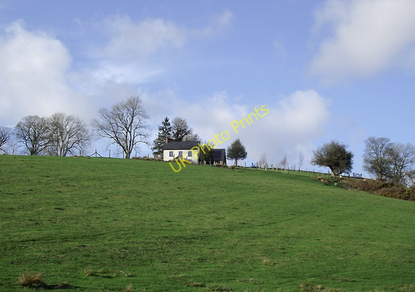 Photo 6"x4" Pasture north of Cynghordy Station, Carmarthenshire Rhandirmwyn c2011