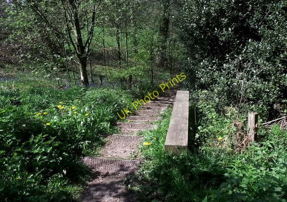 Photo 6"x4" Top of the steps Biddulph c2011