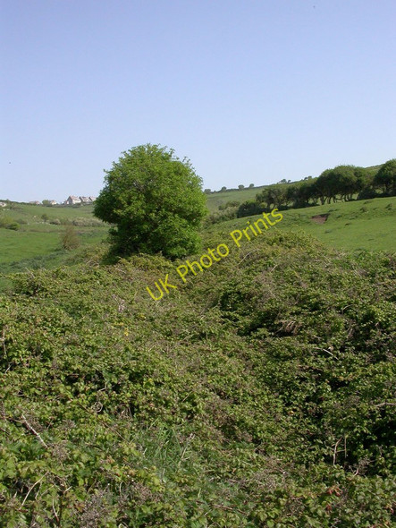 Photo 6"x4" Worth Matravers, stream Worth Matravers c2011