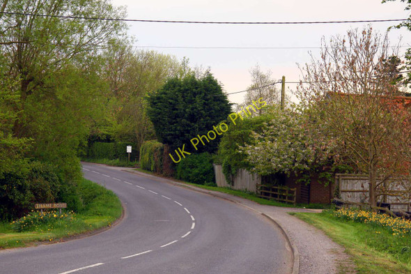 Photo 6"x4" Thame Road in Warborough Warborough c2011
