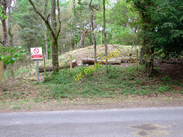 Photo 6"x4" Tumulus, Throop Clump Throop c2010