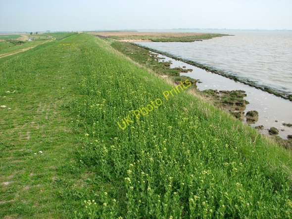 Photo 6"x4" The Weavers Way along Breydon Water, Great Yarmouth Burgh Castle\/TG4804 c2011