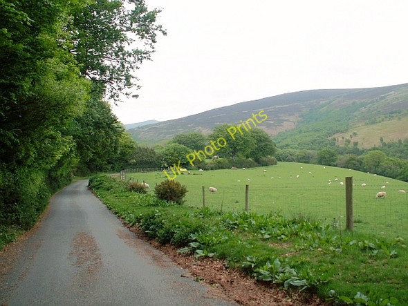 Photo 6"x4" Country road, Cloutsham Horner\/SS8945 c2007