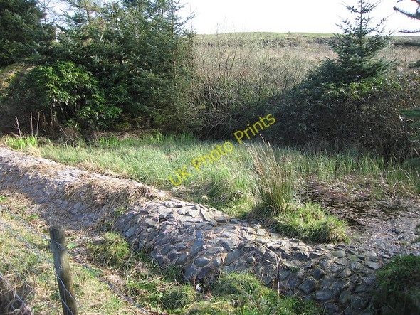 Photo 6"x4" Marshy pond at Parc-y-llyn Dylife c2011