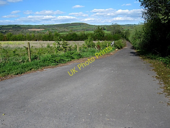 Photo 6"x4" Country Lane Ballyfoyle c2011