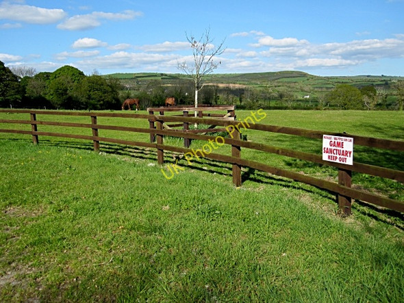 Photo 6"x4" Fence and Field Ballyfoyle c2011