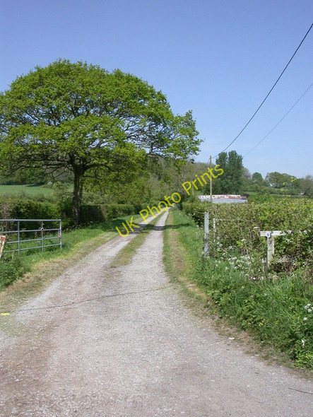 Photo 6"x4" East Stour, farm entrance Stour Row c2011