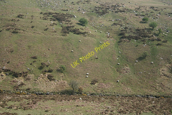 Photo 6"x4" Peter Tavy: below Standon Hill Horndon c2011