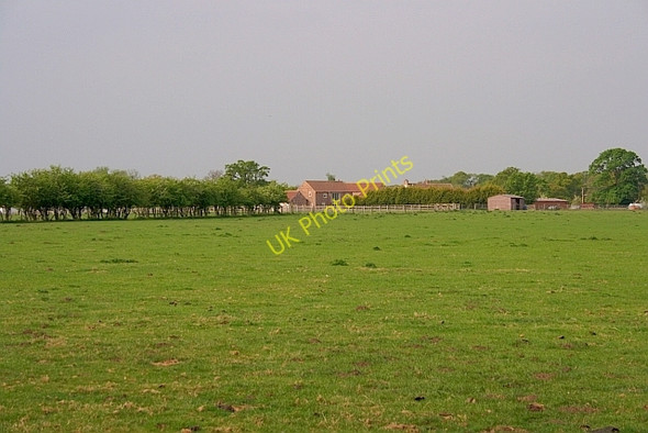 Photo 6"x4" Fir Tree Farm Crockey Hill c2011