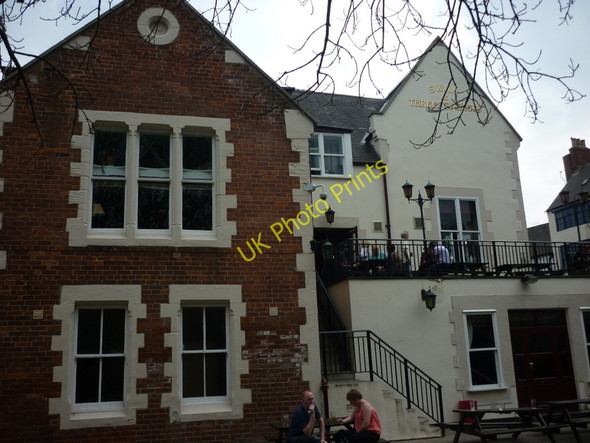 Photo 6"x4" The Swan and Three Cygnets, Durham Durham c2011 P1