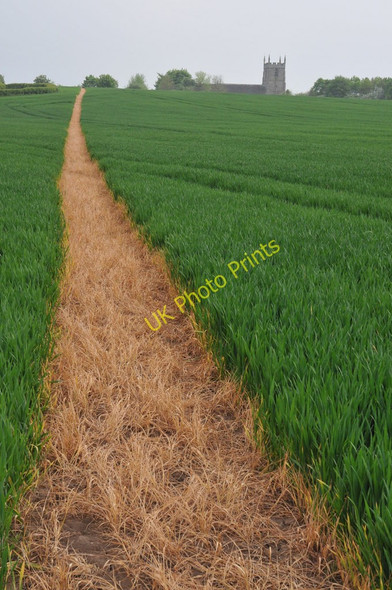 Photo 6"x4" Footpath to Bishampton church Abberton\/SO9953 c2011