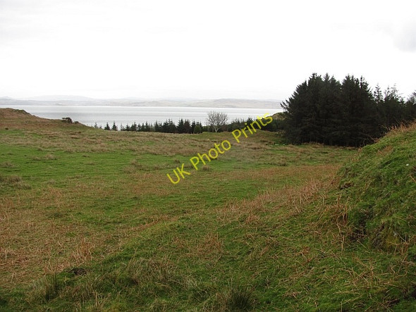Photo 6"x4" Shelter belt, D\u00c3\u00b9n Fuaraidh Lochdon c2011