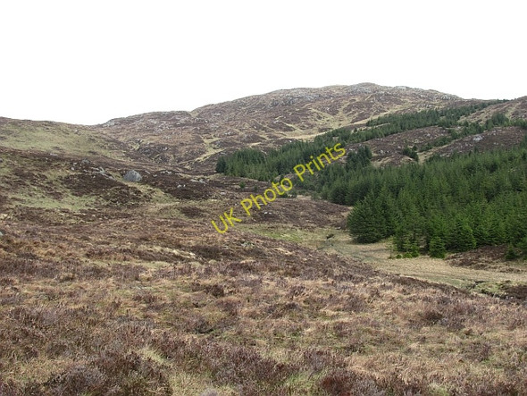 Photo 6"x4" Allt Tairbh Kinlochard c2011