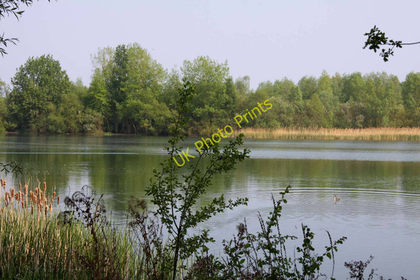 Photo 6"x4" One of the Caversham Lakes Reading c2011