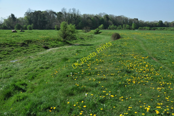 Photo 6"x4" Course of the River Thames Ewen c2011