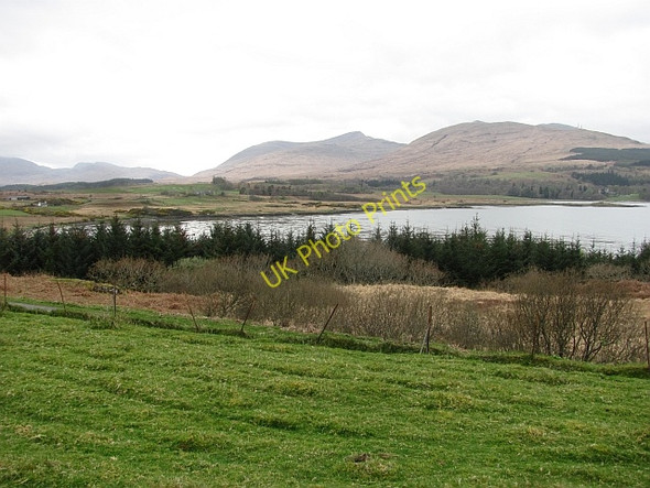 Photo 6"x4" Field near Duart Castle Lochdon c2011