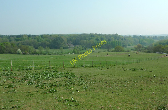 Photo 6"x4" Paddocks near Gothersley, Staffordshire Prestwood\/SO8686 c2011