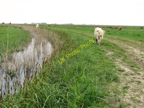 Photo 6"x4" Track to Fleet Farm, Halvergate Marshes Halvergate c2011