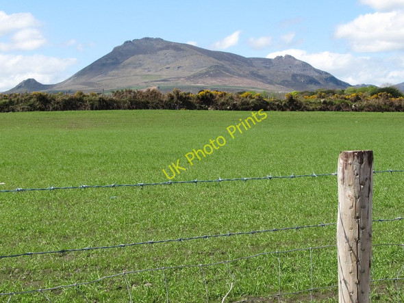 Photo 6"x4" Pastureland near Mullartown House with Binnian in the background Annalong c2011