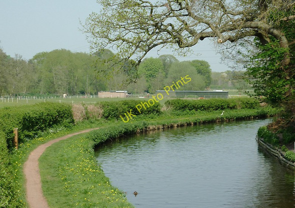Photo 6"x4" Staffordshire and Worcestershire Canal north of Stourton, Staffordshire Prestwood\/SO8686 c2011