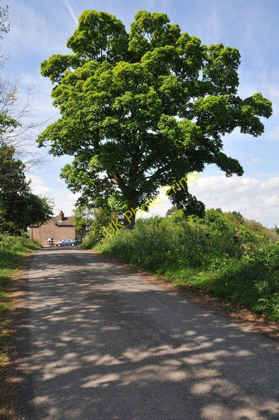 Photo 6"x4" Perrystone Hill Perrystone Hill c2011