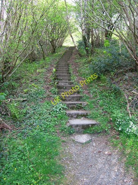Photo 6"x4" Steps at the foot of Arthog falls Arthog c2011