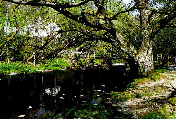 Photo 6"x4" Bridge at Rydal Ambleside c2011
