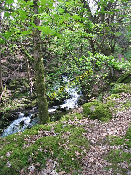 Photo 6"x4" Waterfalls in the Afon Arthog Arthog c2011
