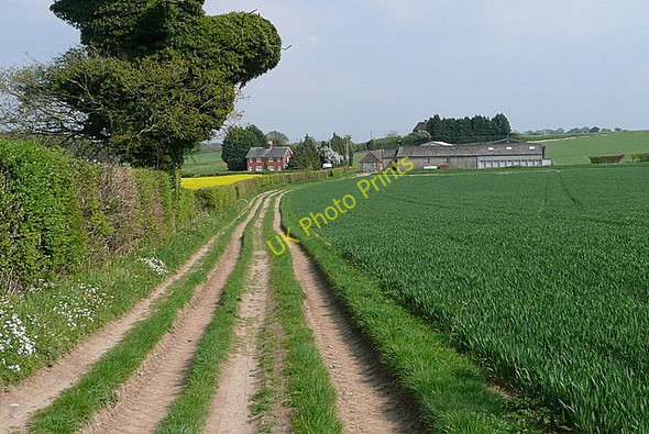 Photo 6"x4" Towards Lower Farm Ramsdell c2011
