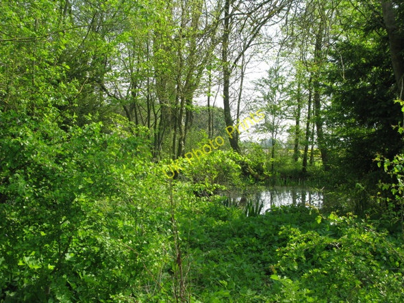Photo 6"x4" Pond on the outskirts of Ashley Ashley\/ST9394 c2011