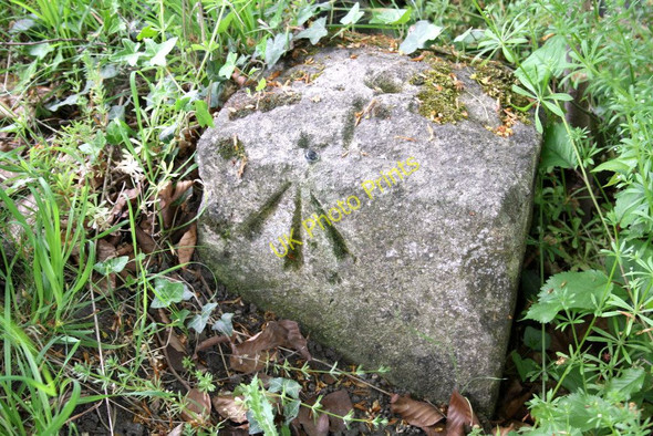 Photo 6"x4" Benchmark on stone on north side of Reading Road Wantage c2011