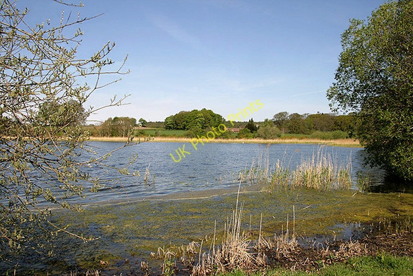 Photo 6"x4" Hirsel Lake Coldstream\/NT8439 c2011