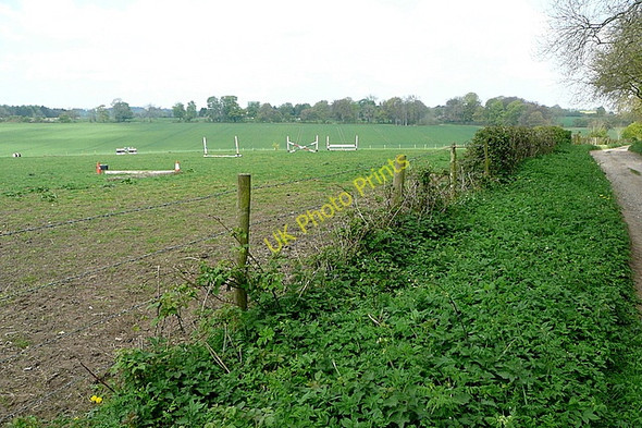Photo 6"x4" Horsiculture at Manydown Farm Newfound c2011