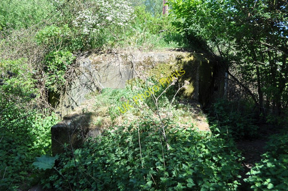 Photo 6"x4" Overgrown Pillbox Chappel c2011