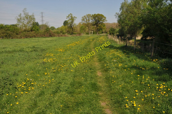 Photo 6"x4" The Thames Path Ewen c2011