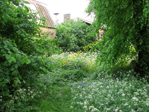 Photo 6"x4" The Gildencroft Quaker Cemetery, Norwich Norwich c2011 P4