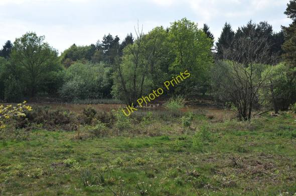 Photo 6"x4" Wig Pool East Dean\/SO6520 c2011