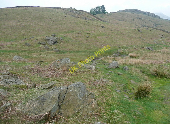 Photo 6"x4" Path towards Low Pike Ambleside c2011 P1