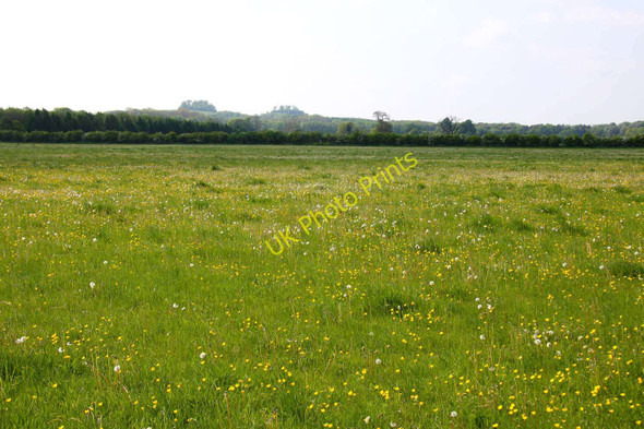 Photo 6"x4" Field by the River Thames Meadside c2011