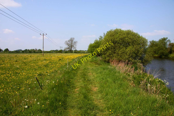Photo 6"x4" The Thames Path to Dorchester Meadside c2011