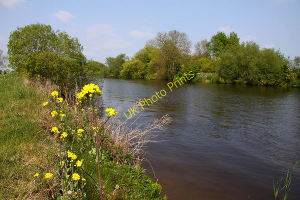 Photo 6"x4" The River Thames at Shillingford Shillingford\/SU5992 c2011 P1